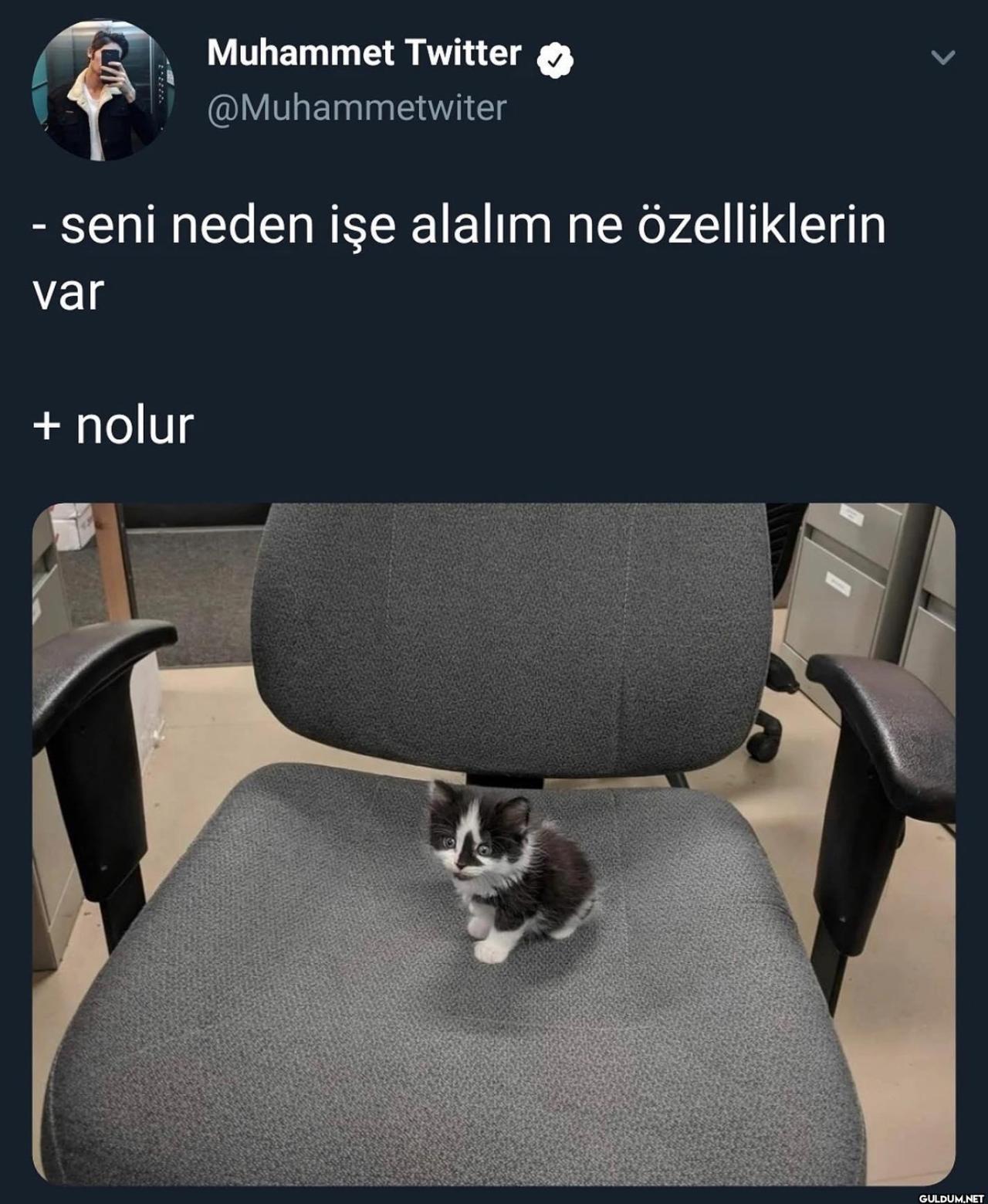 Muhammet Twitter on August...