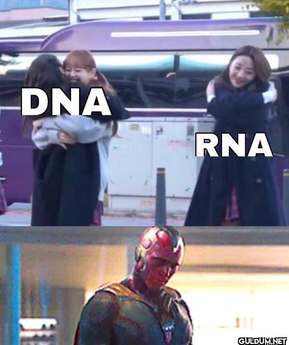 DNA RNA   Kaynak