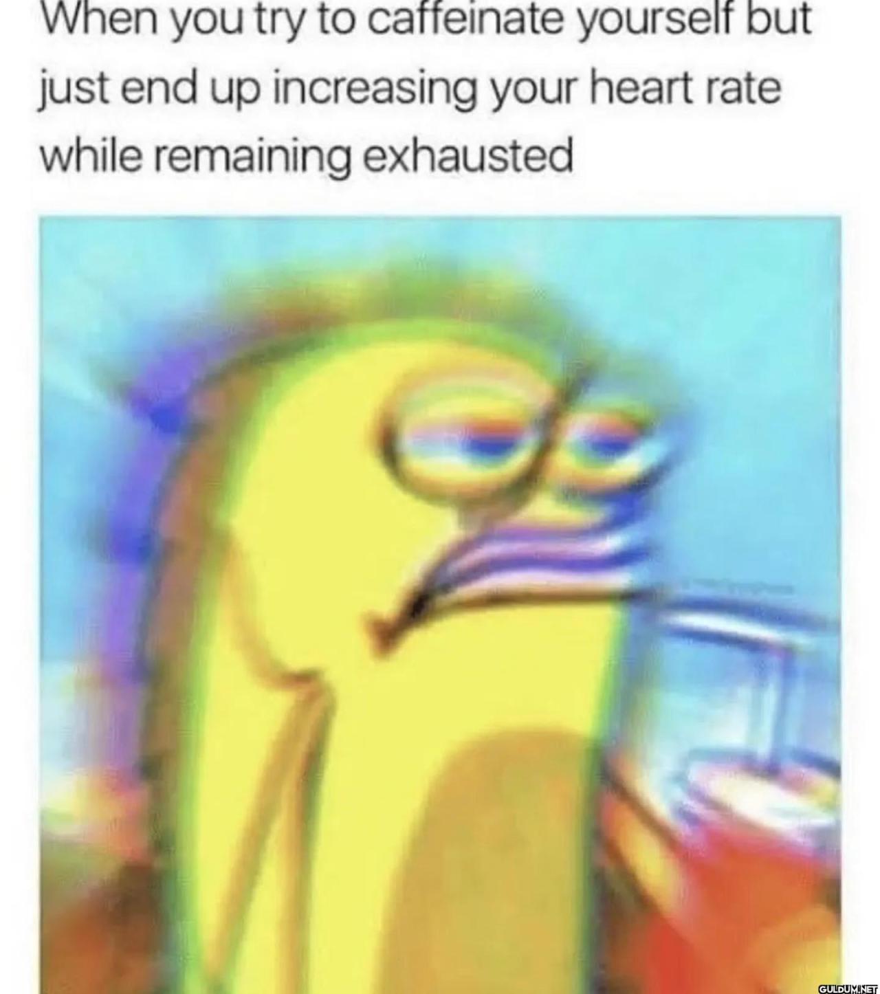 freud.intensifies on...