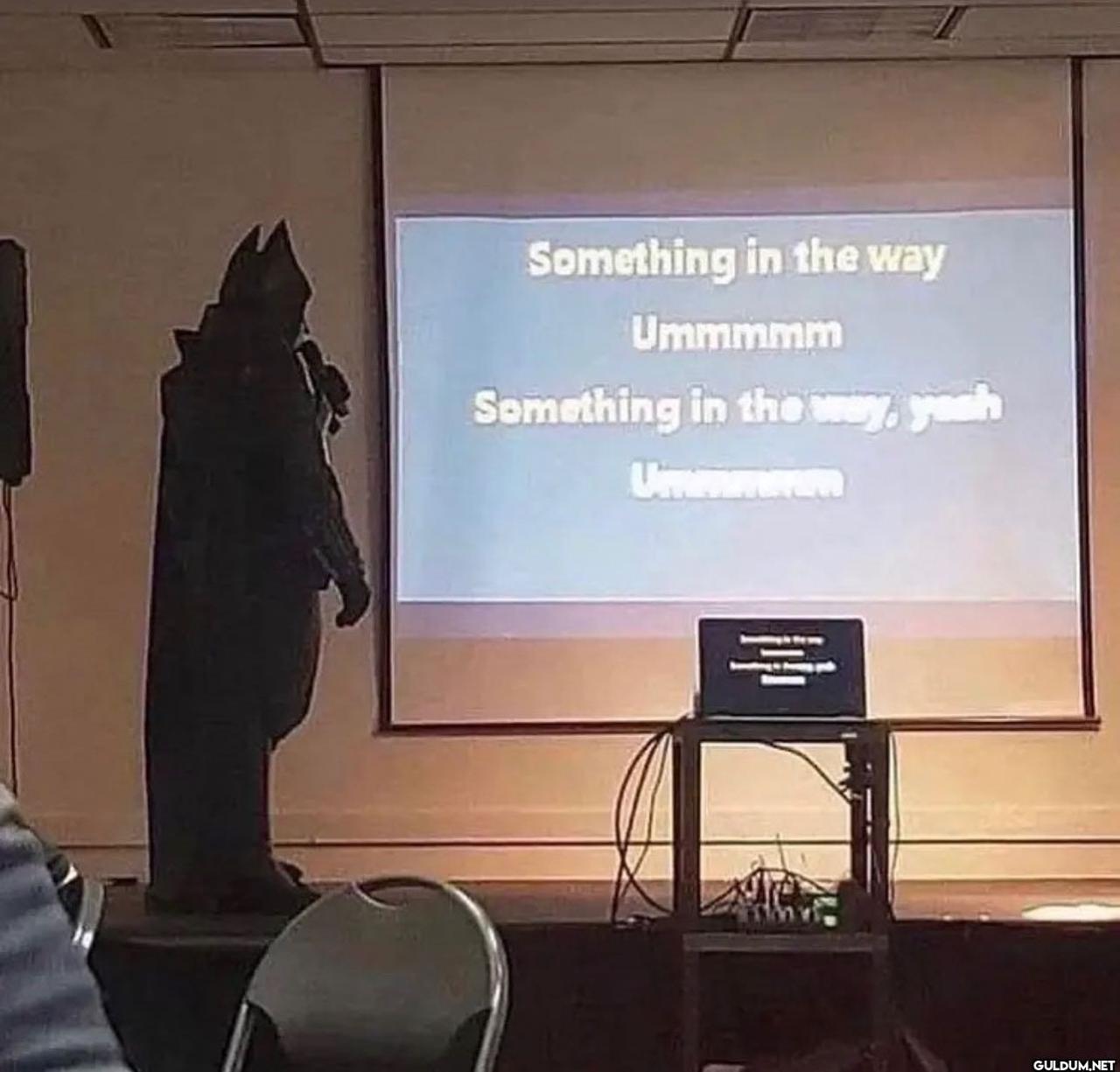 freud.intensifies on...
