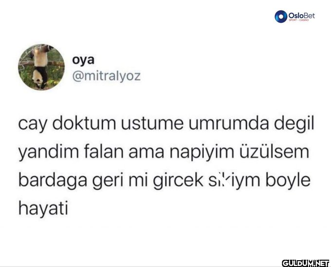 oya @mitralyoz OsloBet...