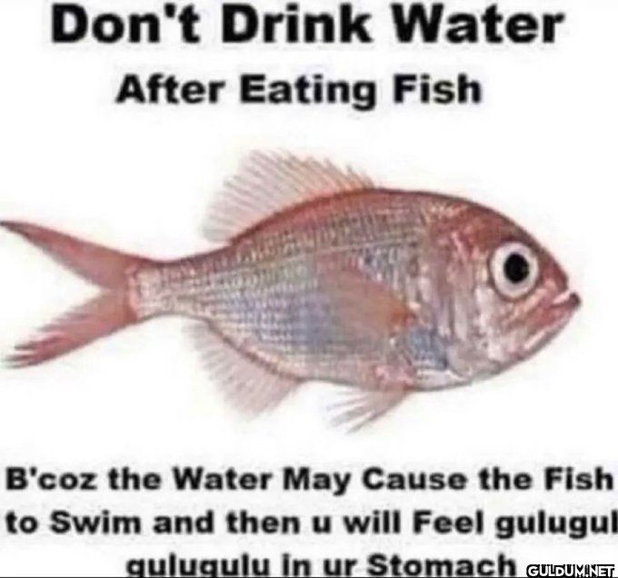 Don't Drink Water After...