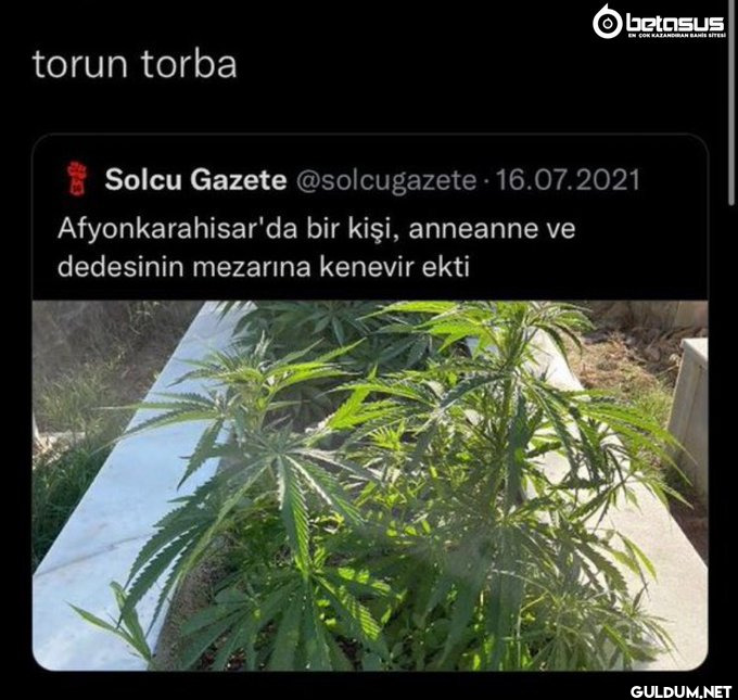 torun torba betasus EN ÇOK...