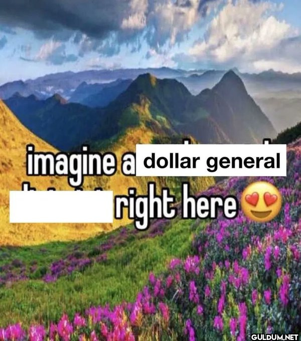 imagine a dollar general...