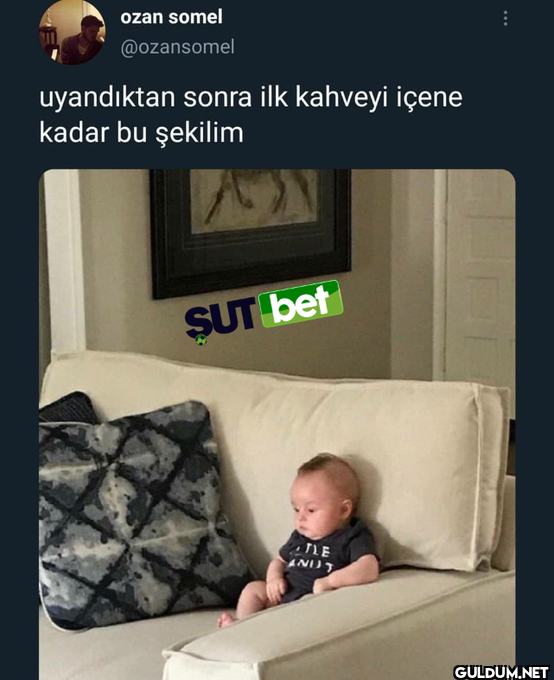 ozan somel @ozansomel...