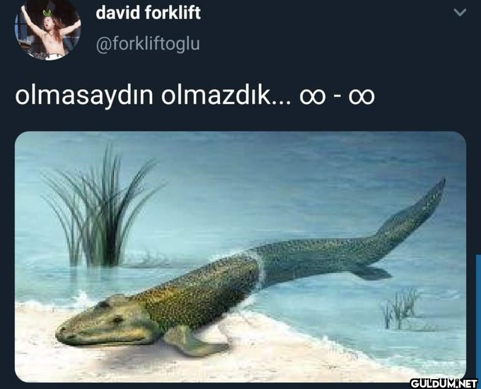david forklift...