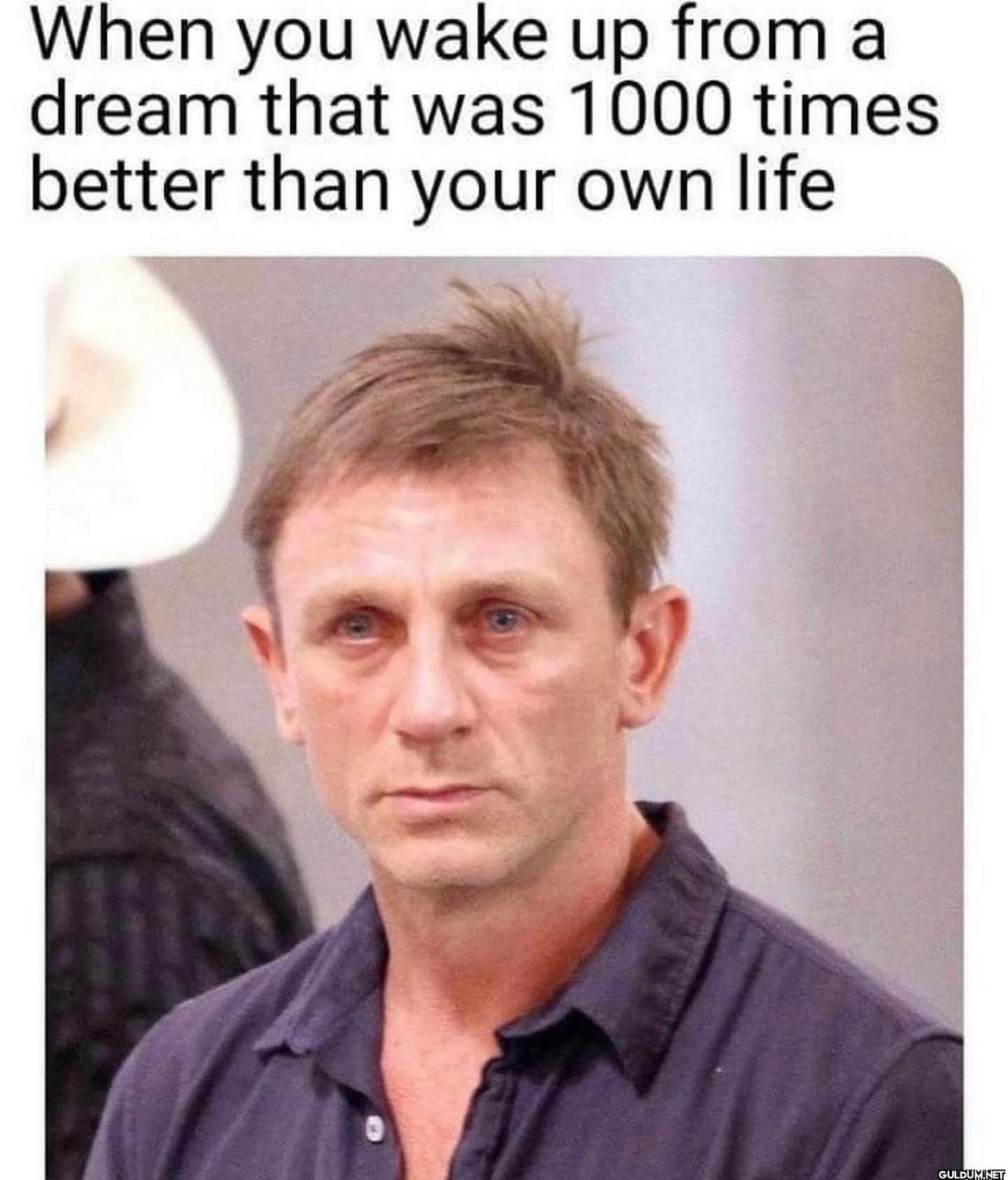freud.intensifies on...