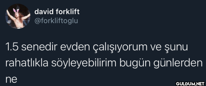 david forklift...