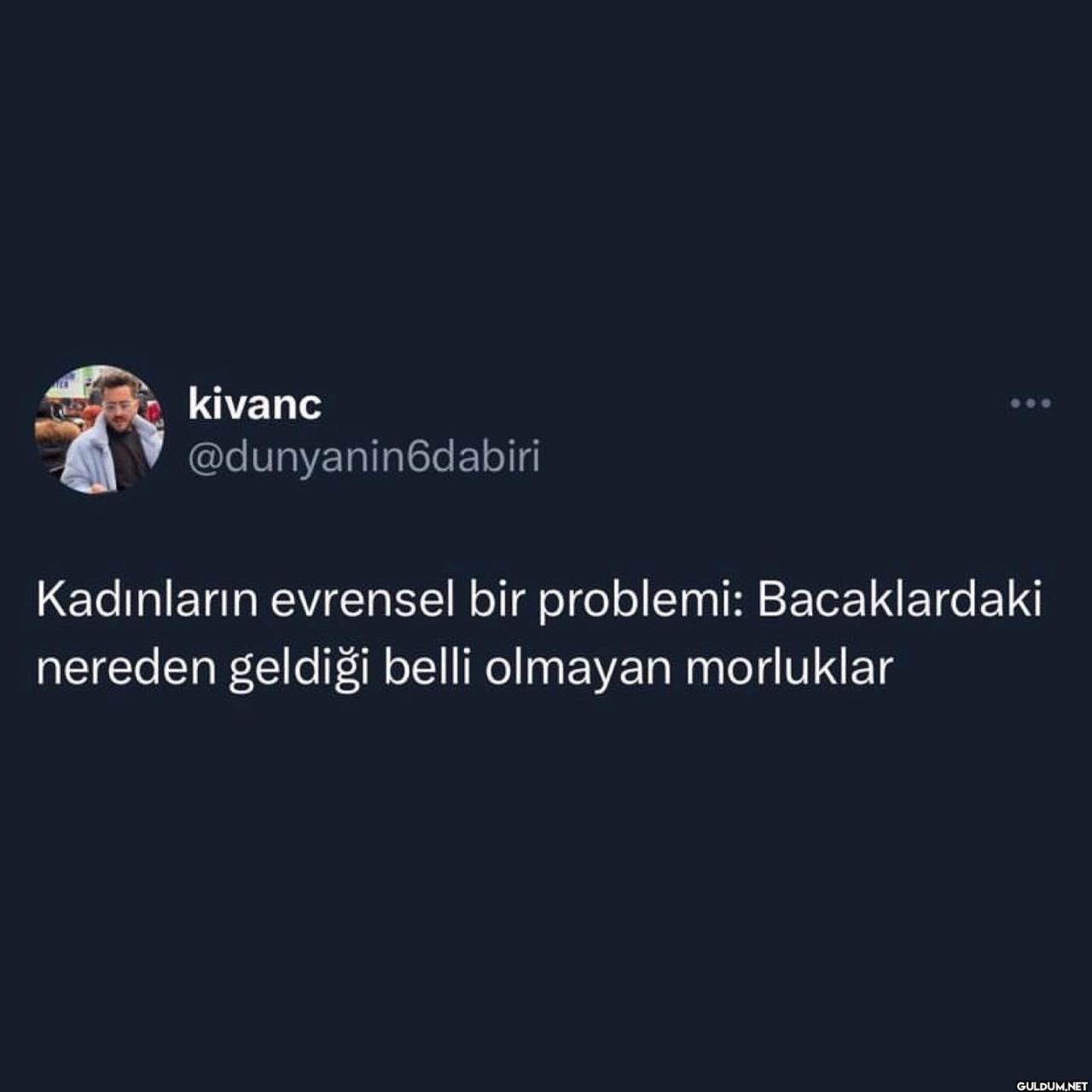Niçe on June 21, 2023.  ...