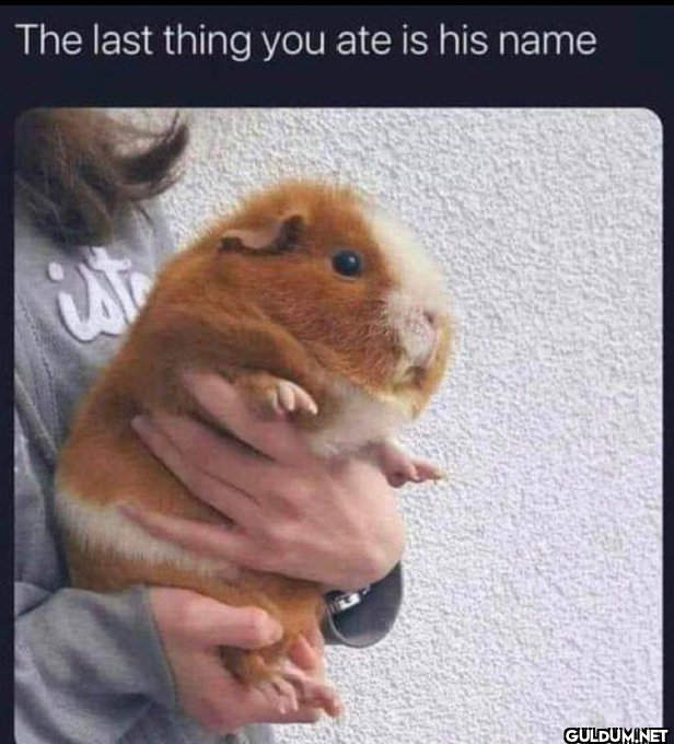 The last thing you ate is...