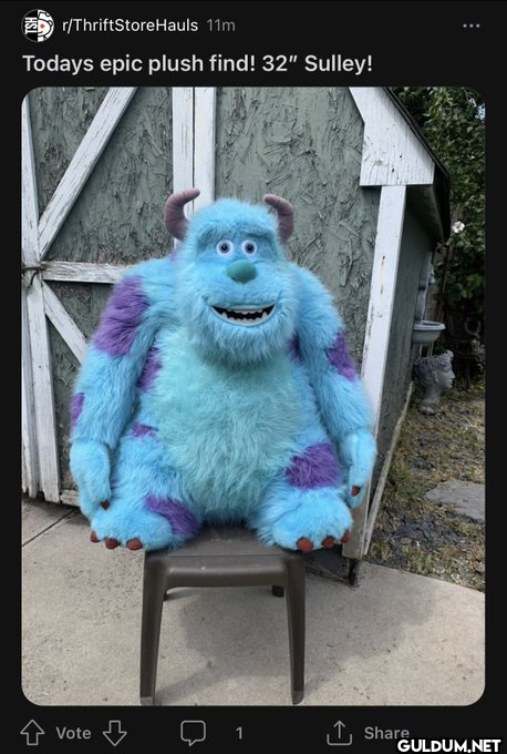 r/ThriftStoreHauls 11m...