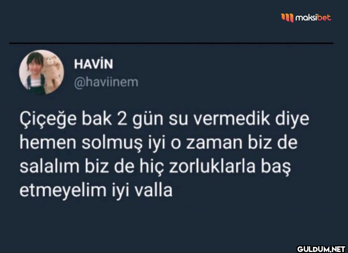 HAVIN @haviinem maksibet...