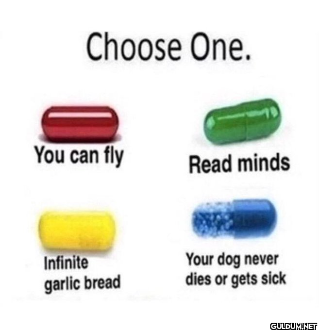 Choose One. You can fly...