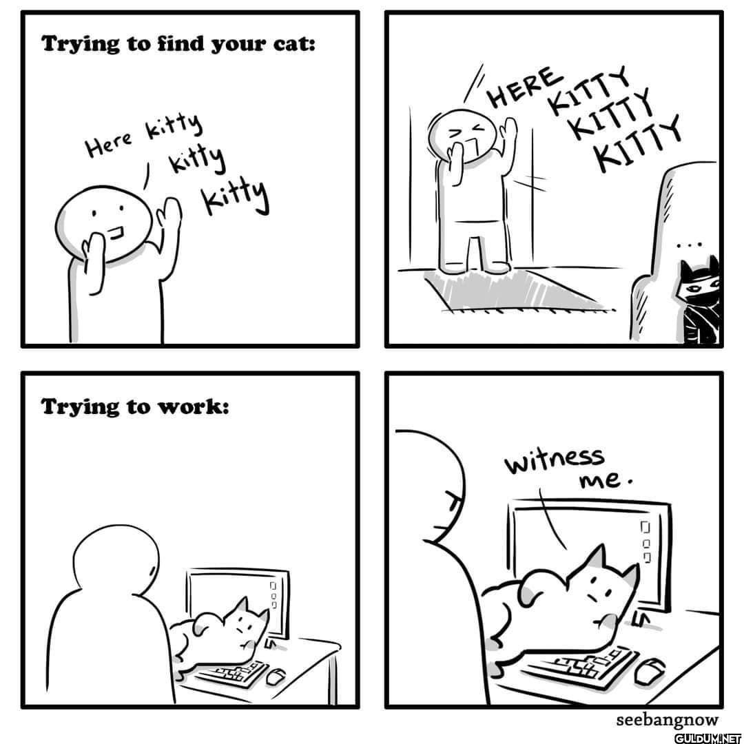 9GAG: Go Fun The World on...
