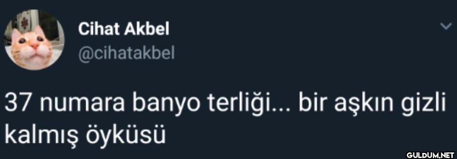 Cihat Akbel @cihatakbel 37...