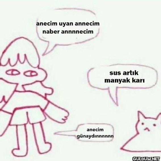 Tatsız Bir Fotoğraf on...