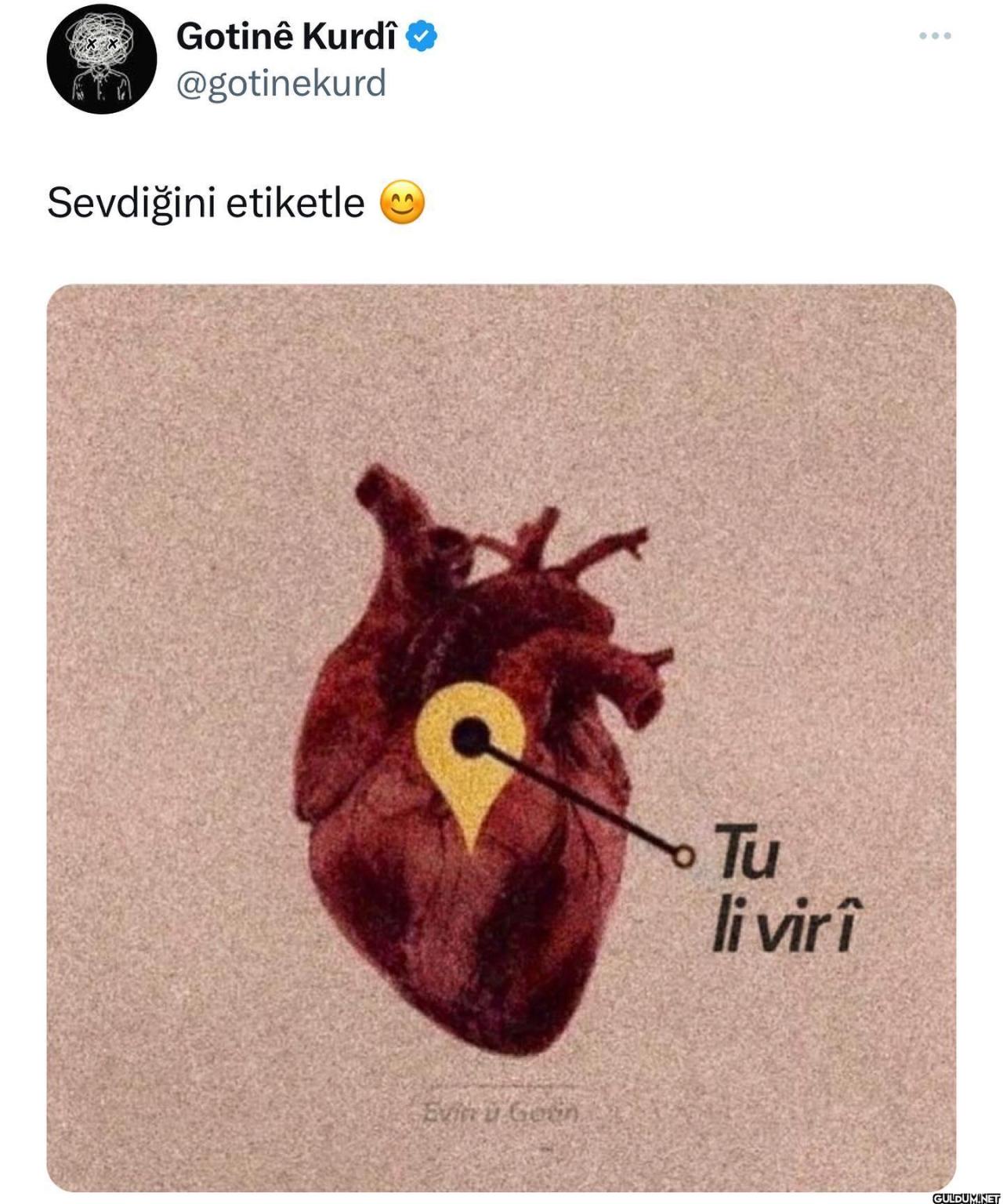 no context kurd on August...