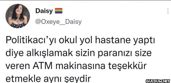 Daisy @Oxeye__Daisy...