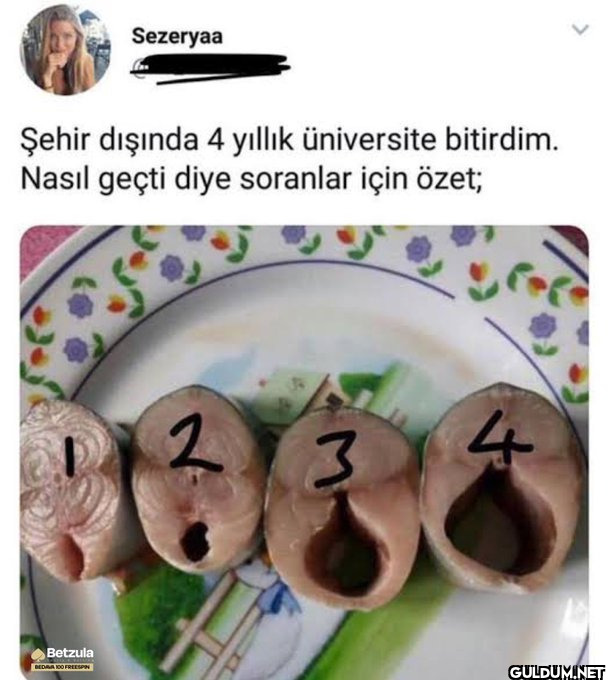 Sezeryaa Şehir dışında 4...
