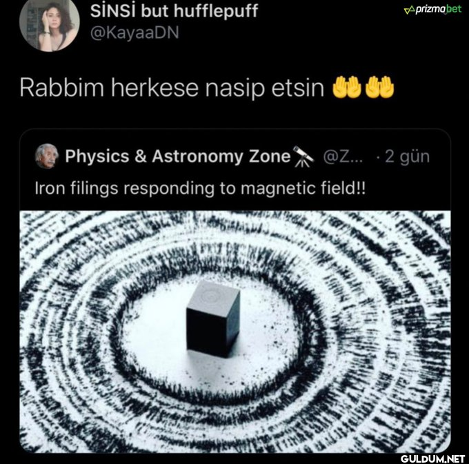 SİNSİ but hufflepuff...