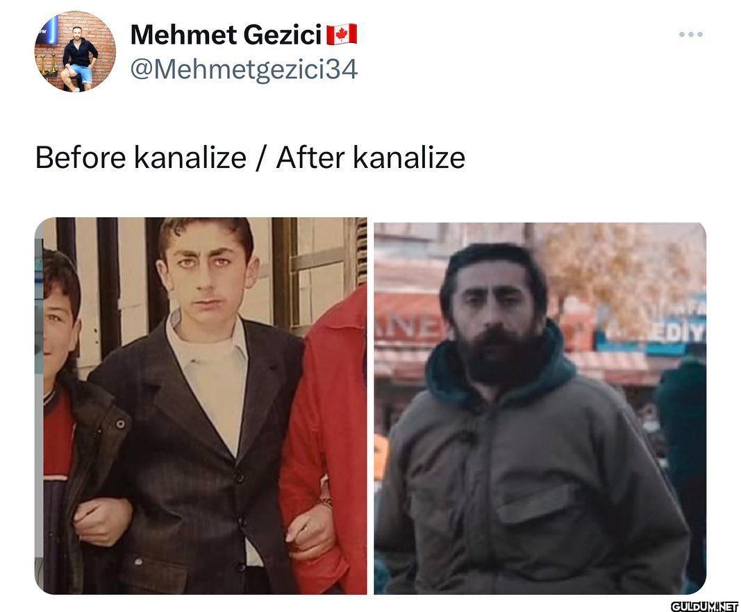 Gebeş kambuluğalar ağaca  ...