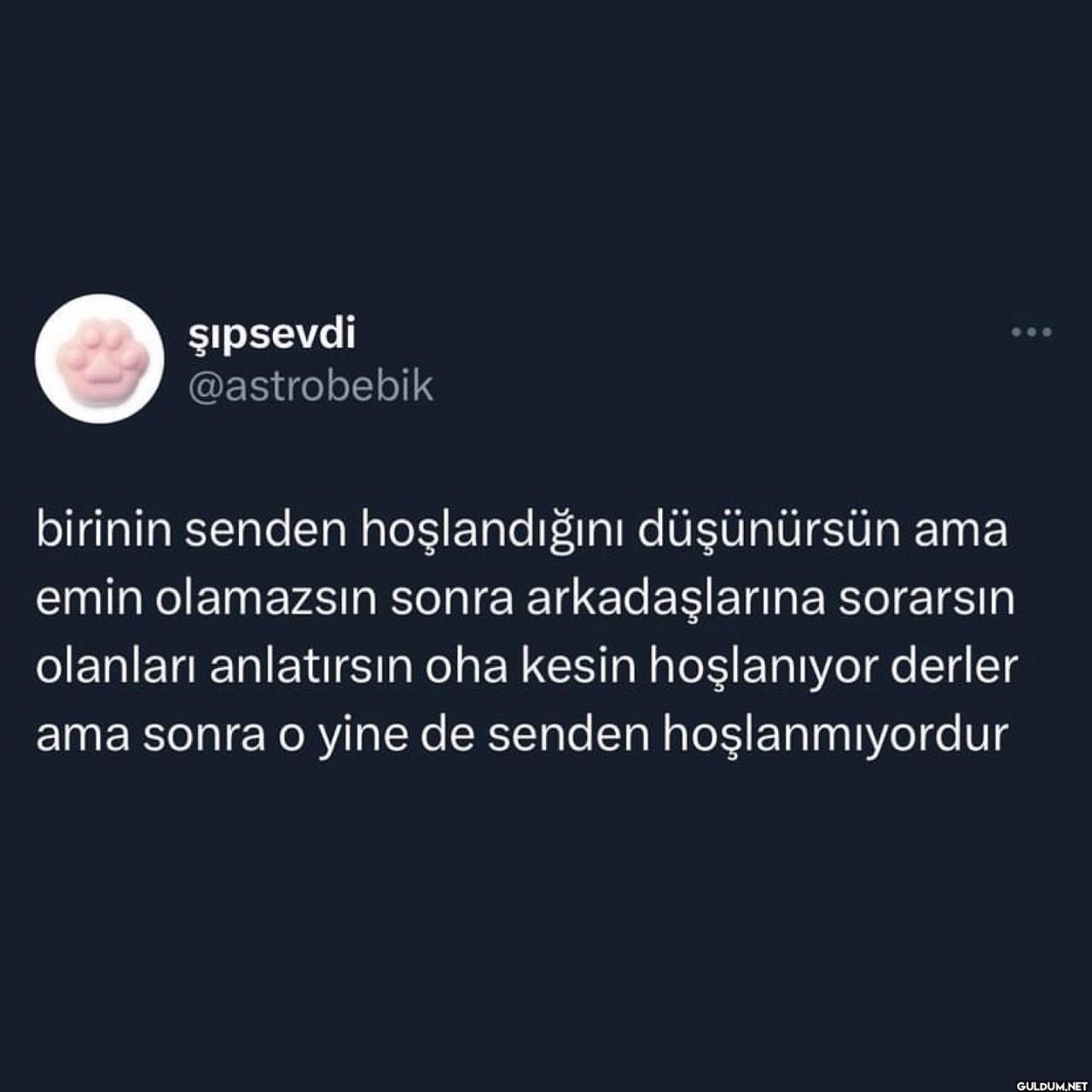 Niçe on June 23, 2023.  ...