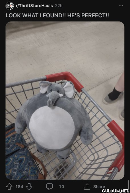 r/ThriftStoreHauls 22h...