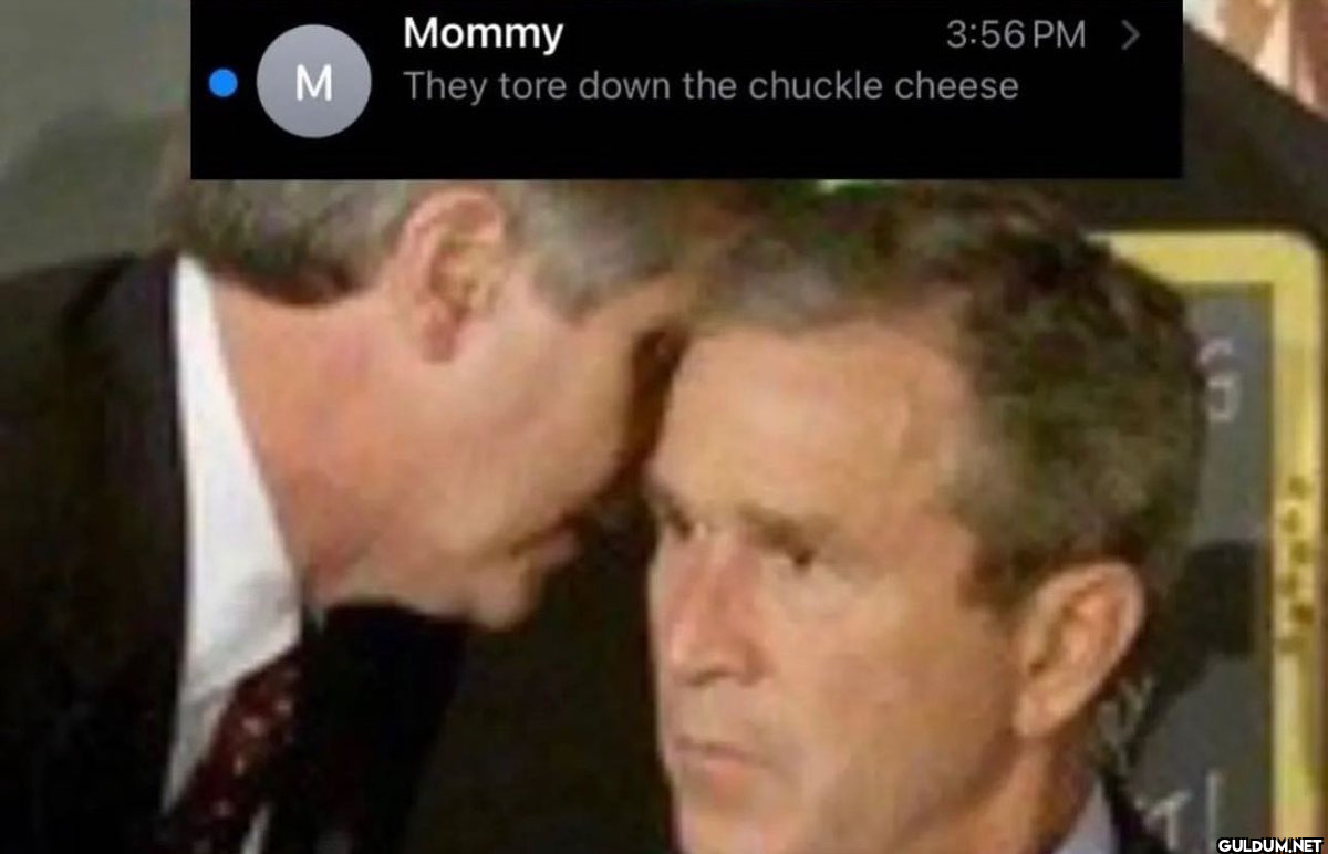 M Mommy They tore down the...