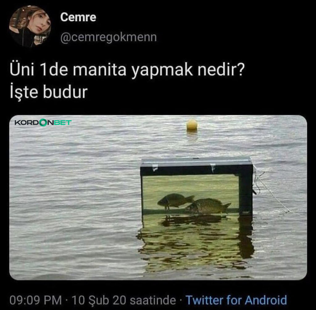 Cemre @cemregokmenn Üni 1...