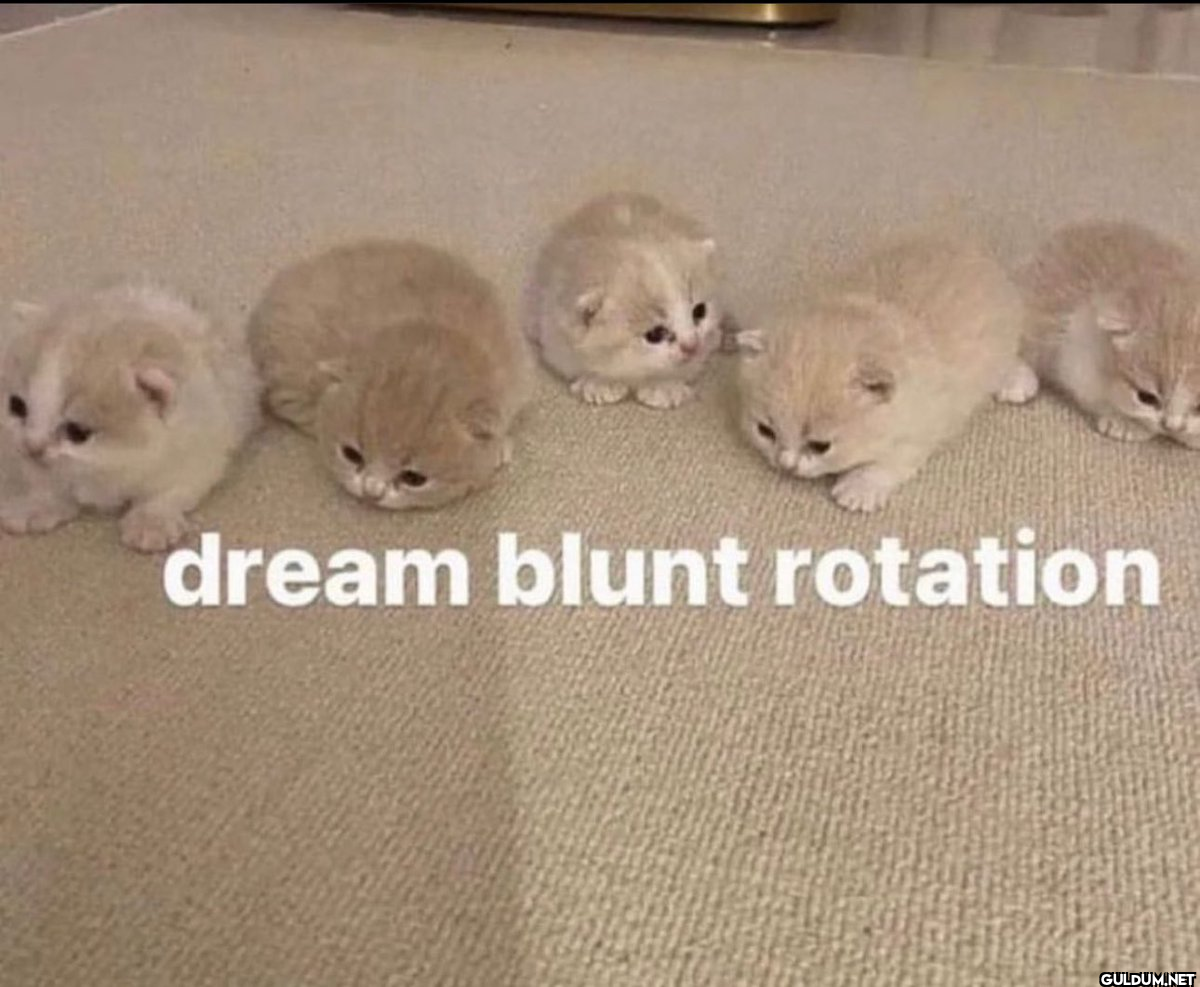 dream blunt rotation   Kaynak