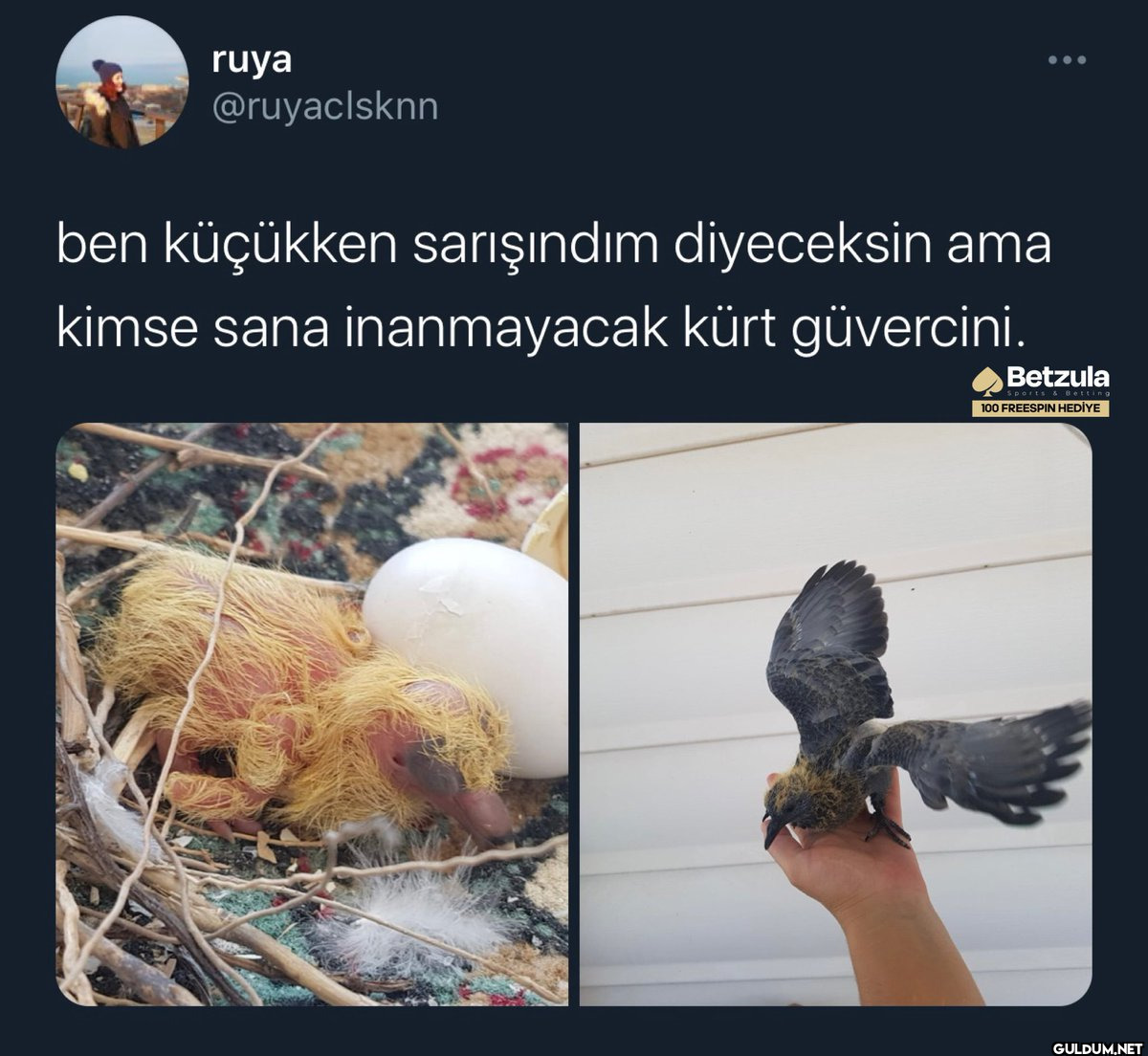 ruya @ruyaclsknn ... ben...