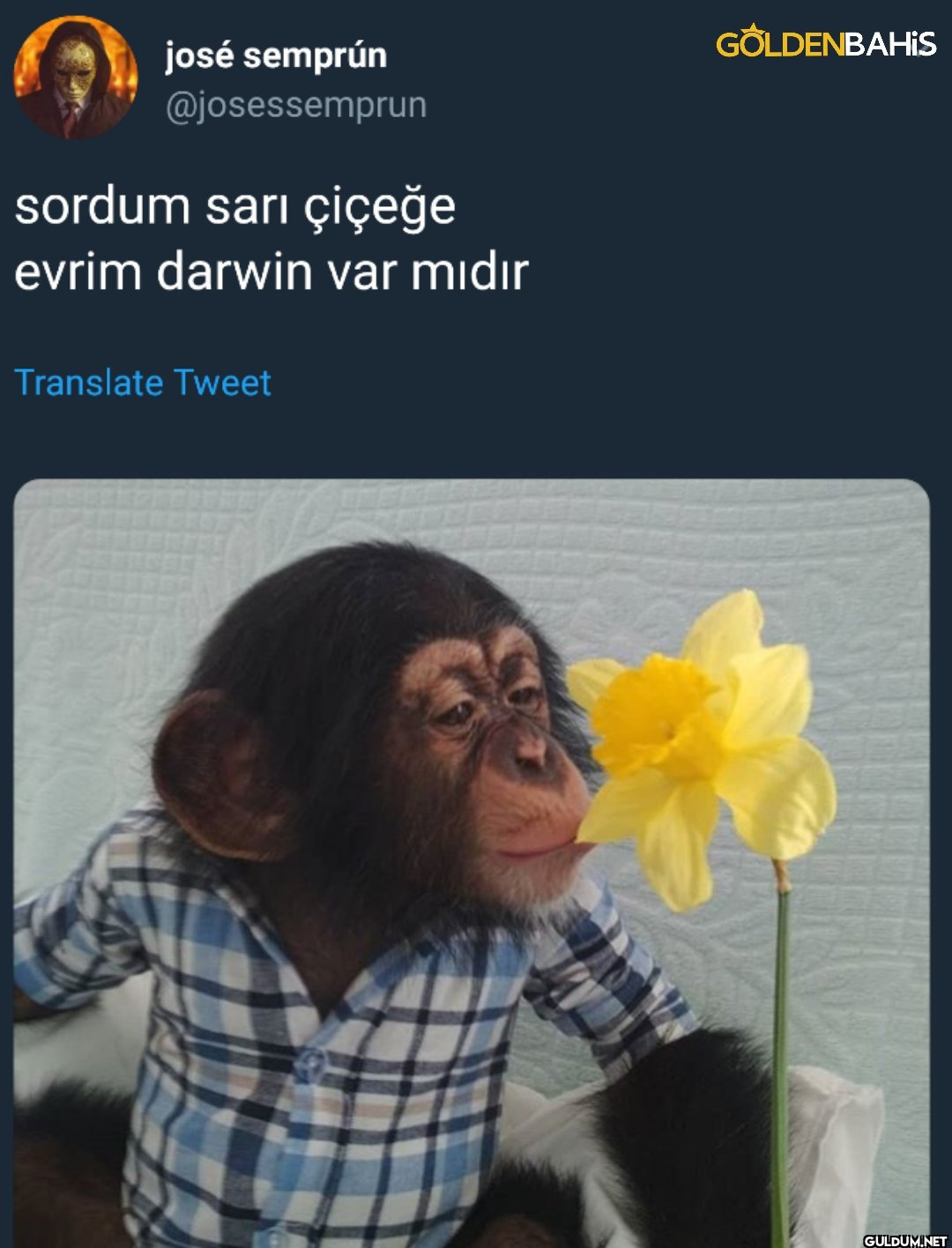 josé semprún @josessemprun...