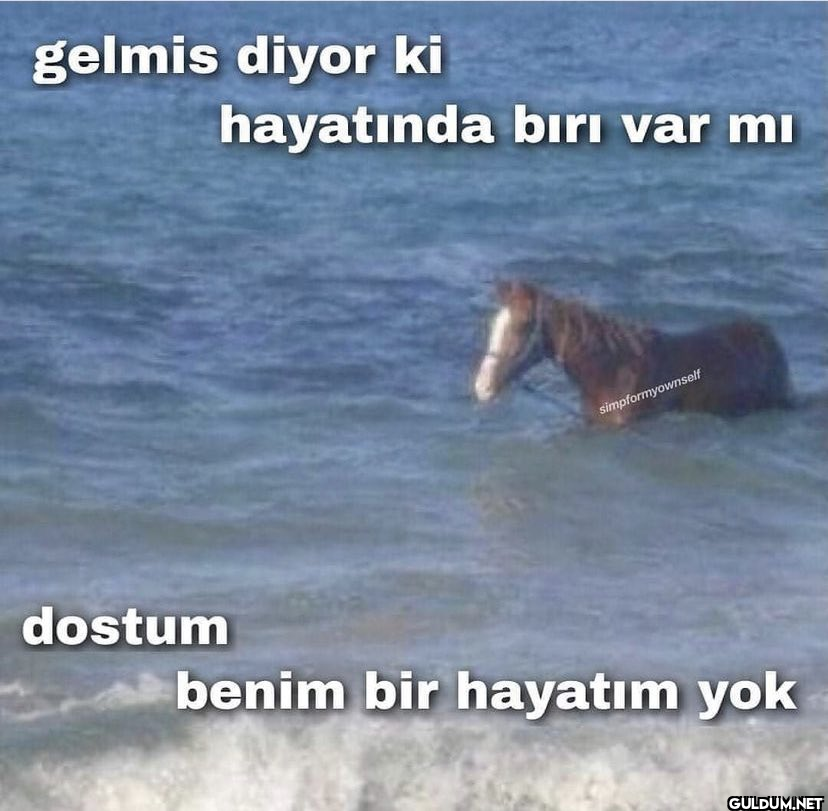 gelmis diyor ki hayatında...