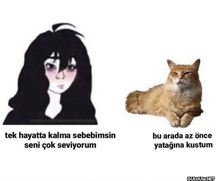@yasamak...
