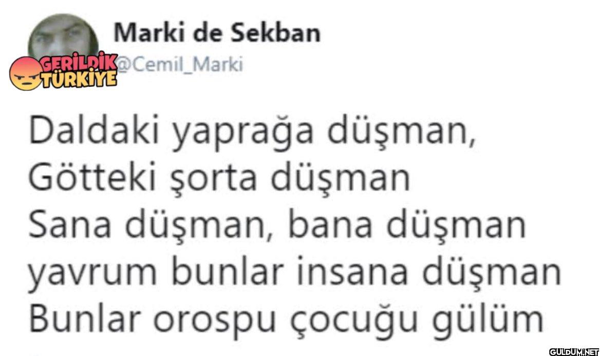 TÜRKİYE Daldaki yaprağa...