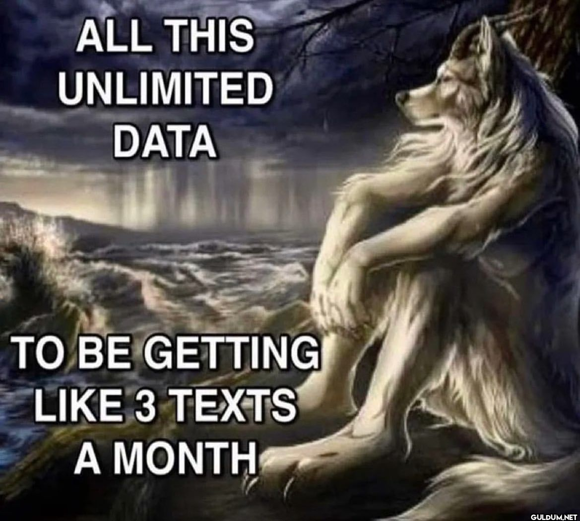 ALL THIS UNLIMITED DATA TO...