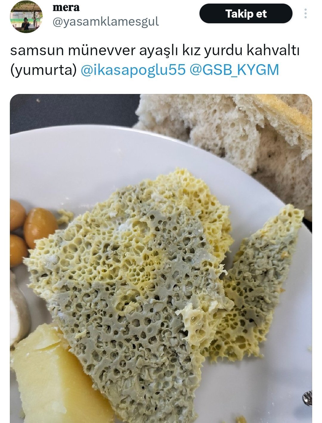 tripofobikler ağlıyordu  ...