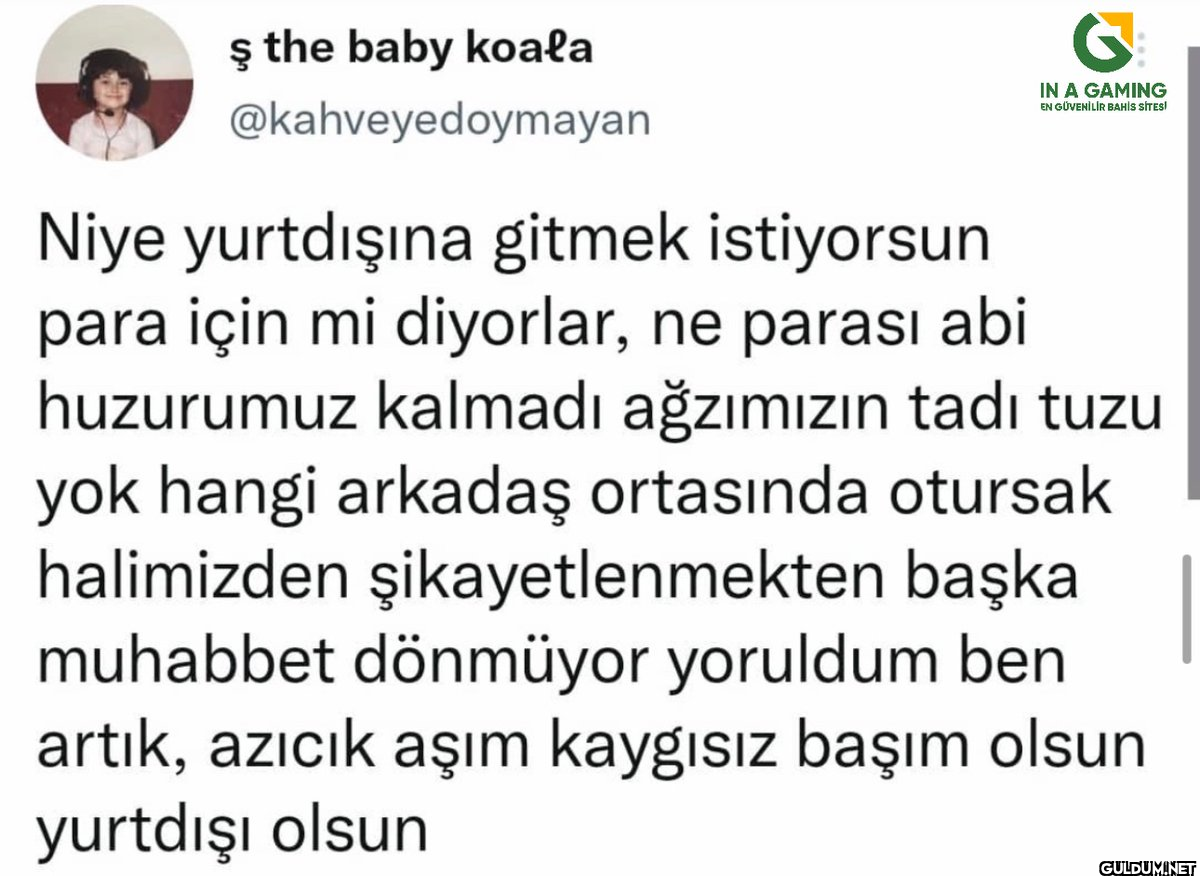 ş the baby koala...