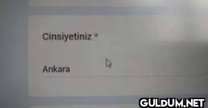 FollowÖnder...