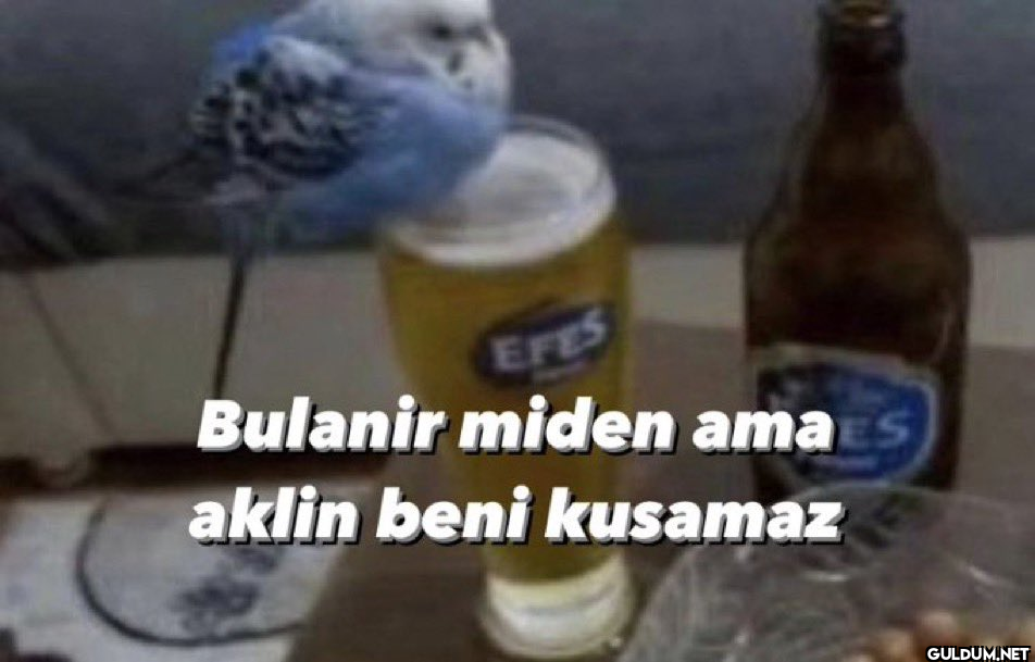 FollowNO CONTEXT...