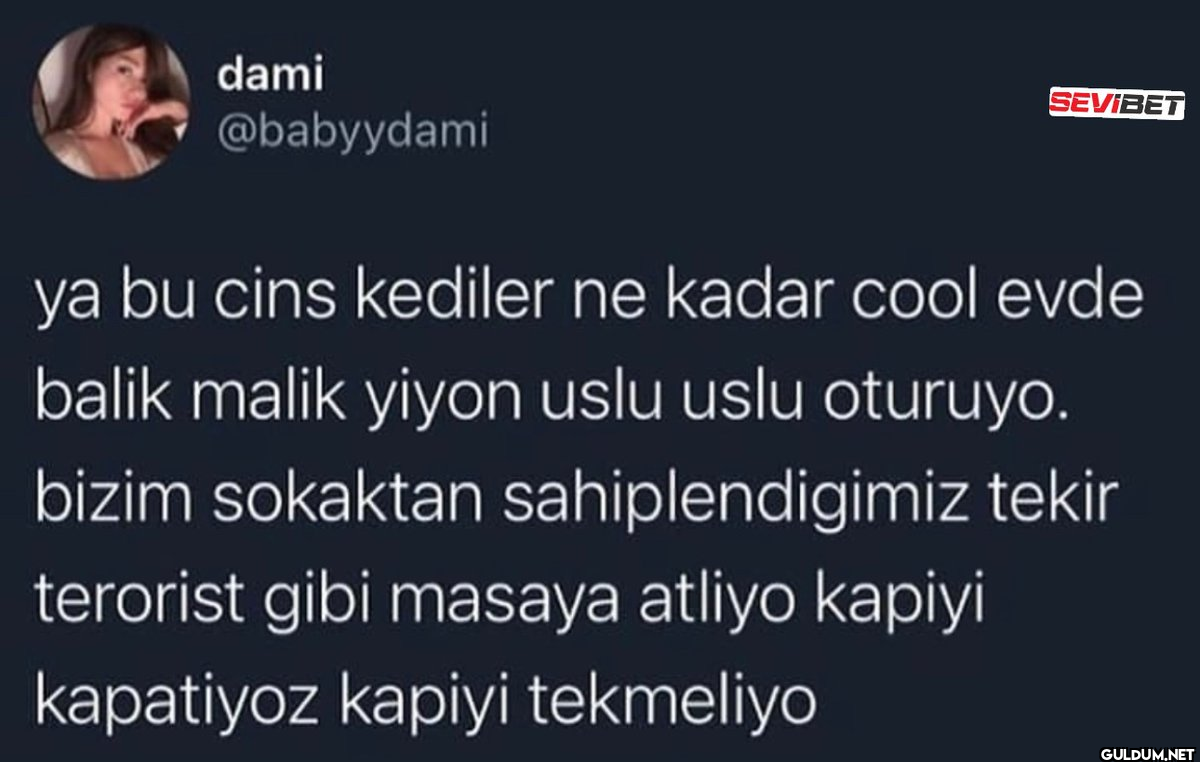 dami @babyydami SEVIBET ya...
