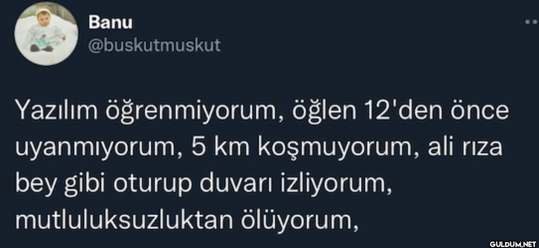Banu @buskutmuskut Yazılım...