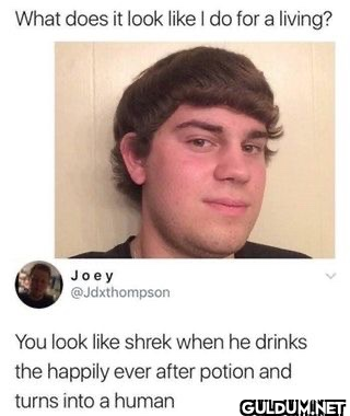 What does it look like I...