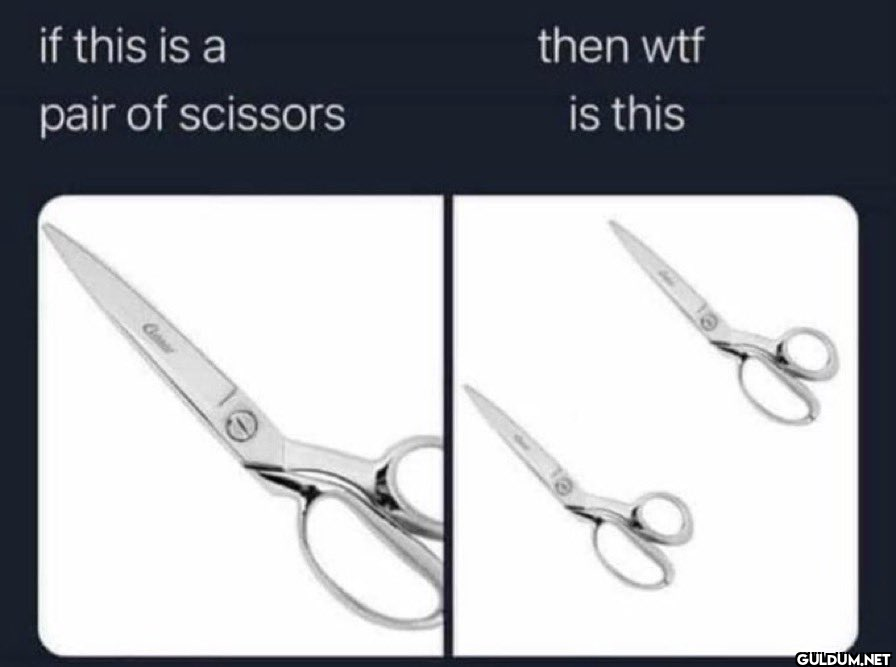 if this is a pair of...