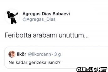 Agregas Dias Babaevi...
