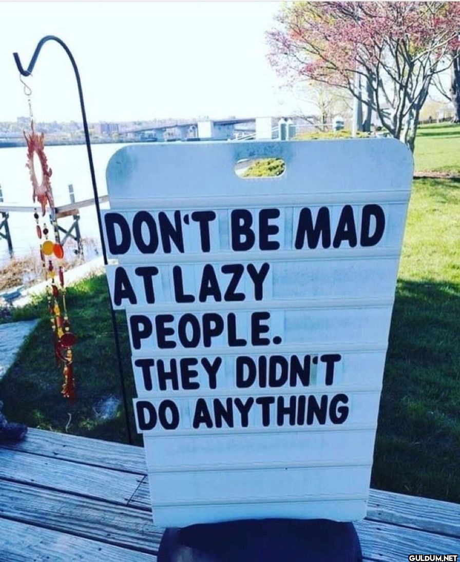 DON'T BE MAD AT LAZY...