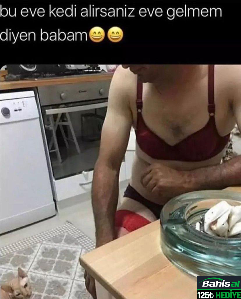 bu eve kedi alirsaniz eve...