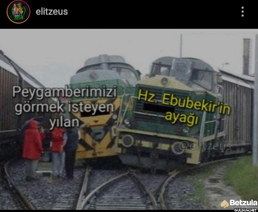 G The ZEUS elitzeus...