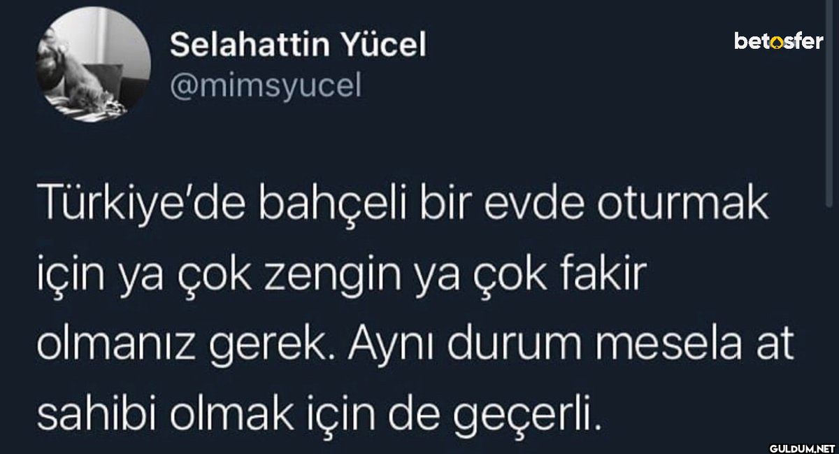Selahattin Yücel...