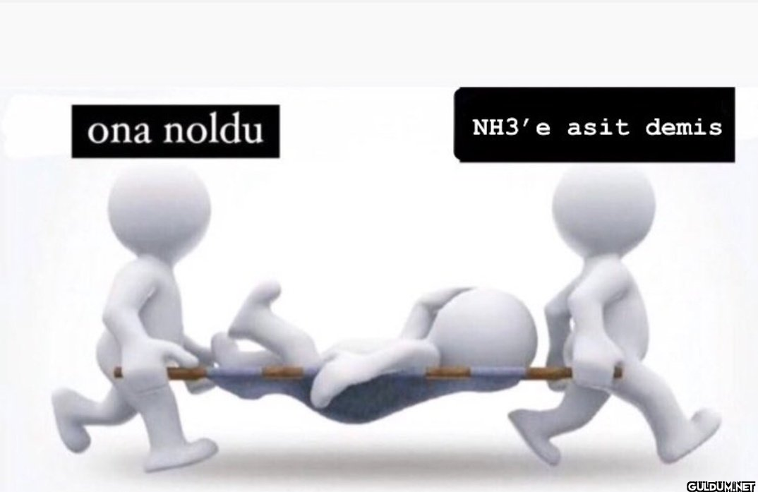 ona noldu NH3'e asit demis   Kaynak